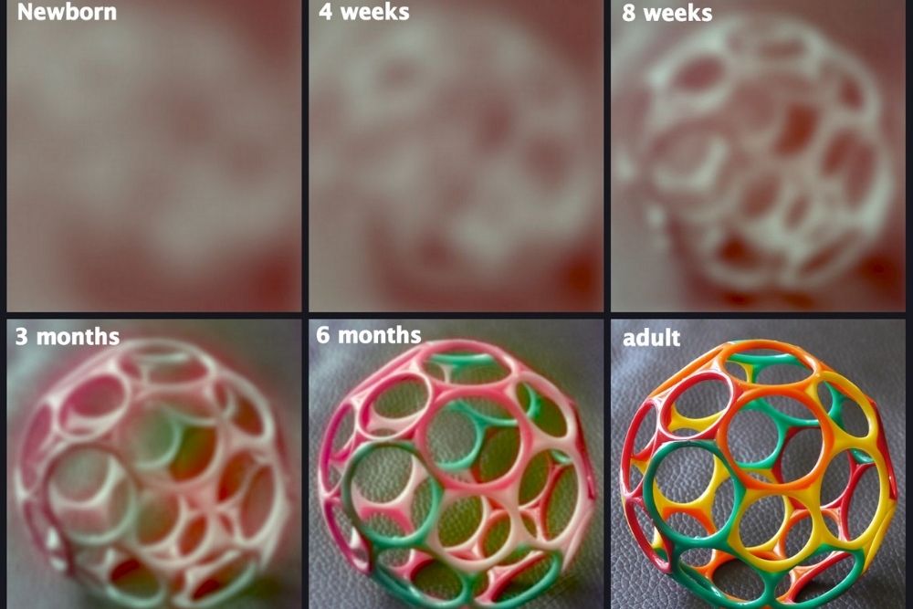 Infant vision development timeline